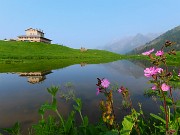 Laghi di Ponteranica dai Piani dell’Avaro con splendide fioriture – 9 giugno 25 - FOTOGALLERY